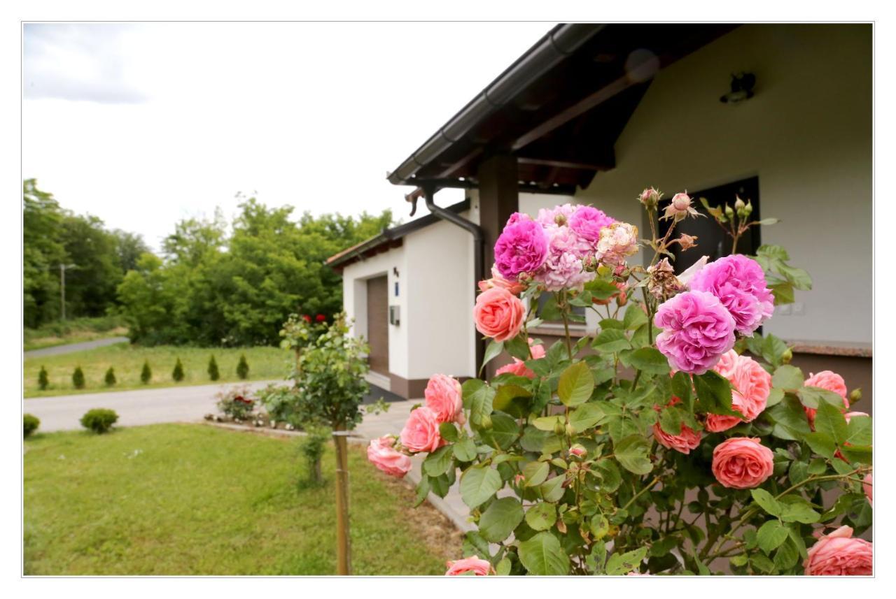 Kuca Za Odmor Medimurski Zdenec Villa Selnica Luaran gambar